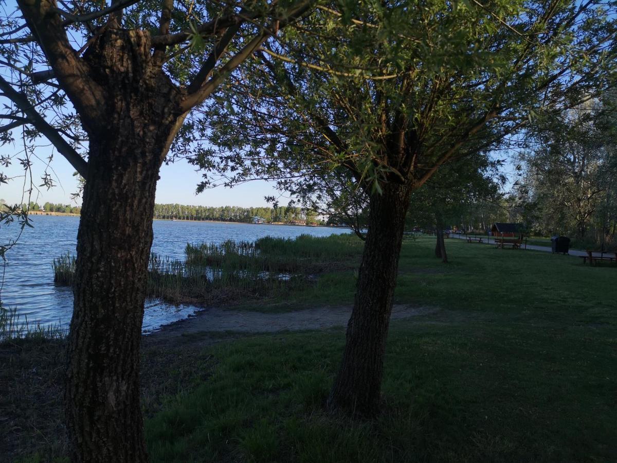 Rozsa Villa Vadkerti To Soltvadkert Exteriér fotografie